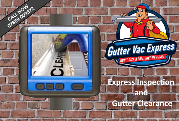 Gutter Inspection, Clearance and Repair