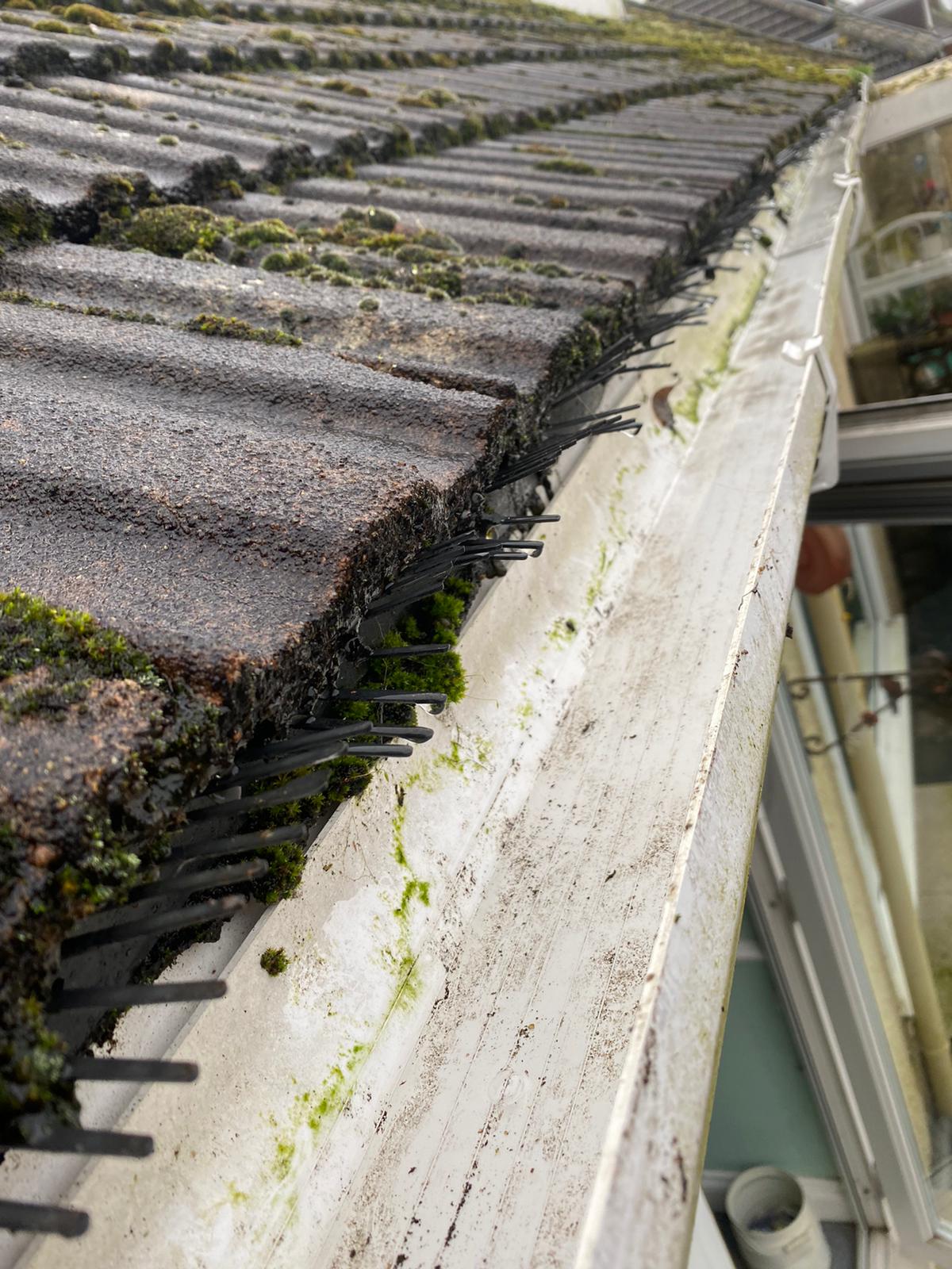 Gutter Clearing